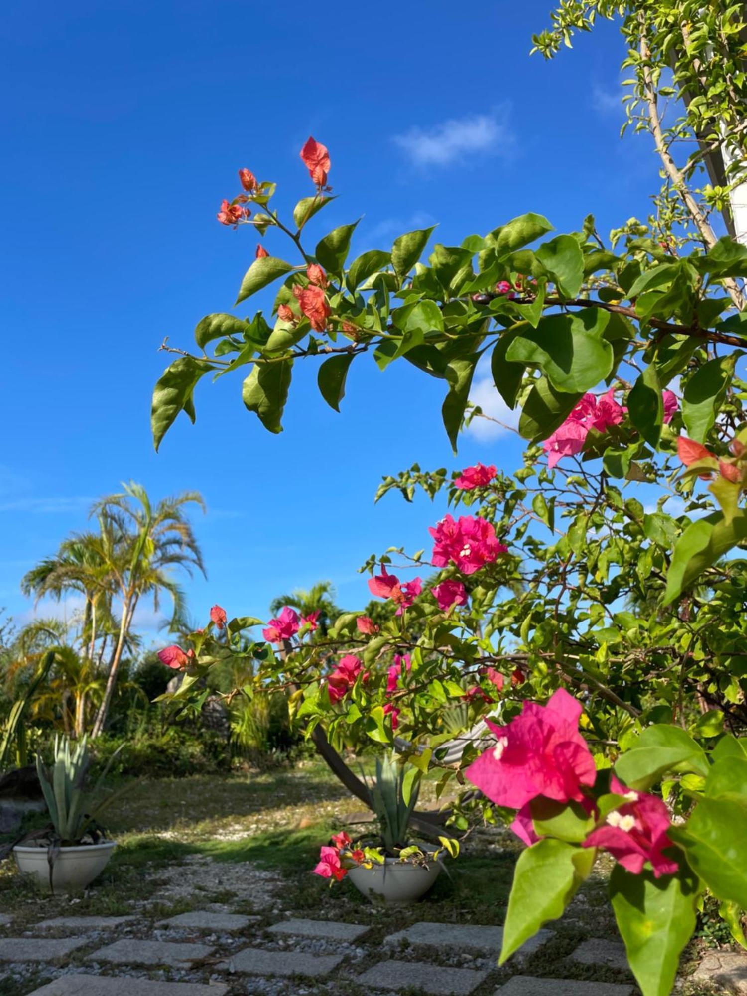 Guesthouse Koa Miyakojima  ภายนอก รูปภาพ